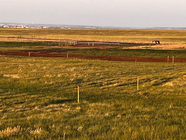 RV/Tent Camping Spot - Cheyenne Frontier Days